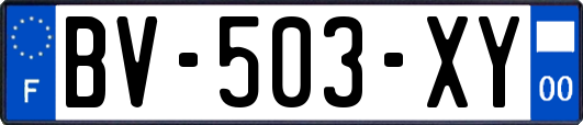 BV-503-XY