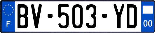 BV-503-YD