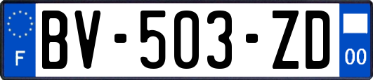 BV-503-ZD