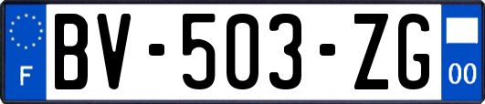 BV-503-ZG