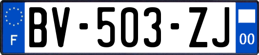 BV-503-ZJ