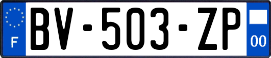 BV-503-ZP