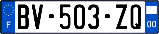 BV-503-ZQ