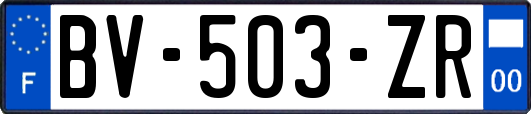 BV-503-ZR