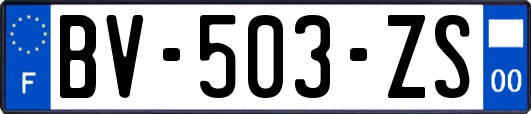 BV-503-ZS