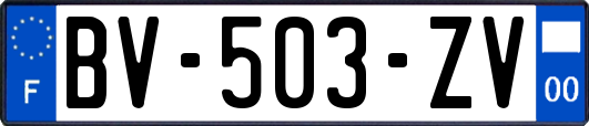 BV-503-ZV