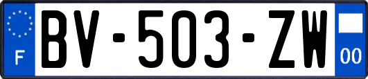 BV-503-ZW