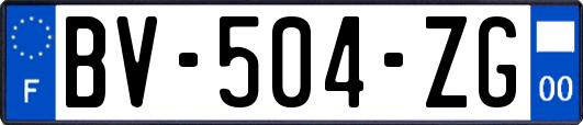 BV-504-ZG