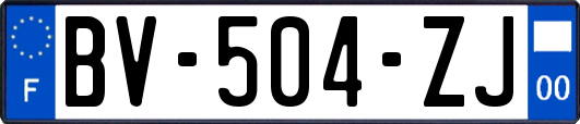 BV-504-ZJ