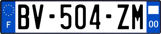 BV-504-ZM