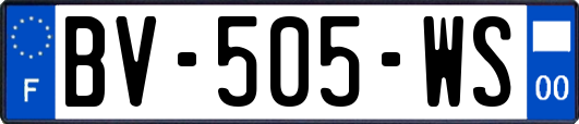 BV-505-WS