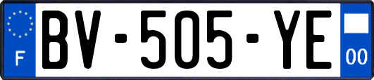 BV-505-YE