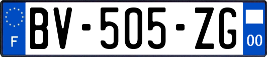 BV-505-ZG