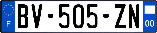 BV-505-ZN