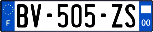 BV-505-ZS