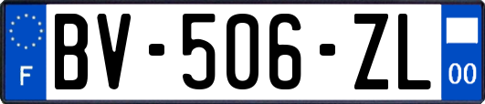 BV-506-ZL