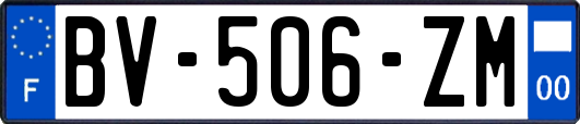 BV-506-ZM