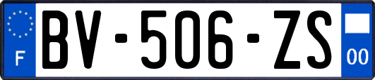 BV-506-ZS