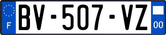 BV-507-VZ