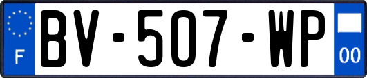 BV-507-WP