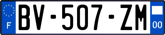 BV-507-ZM