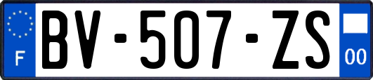 BV-507-ZS