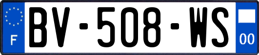 BV-508-WS