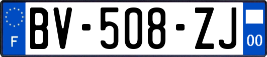 BV-508-ZJ