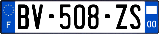 BV-508-ZS