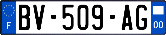 BV-509-AG