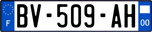 BV-509-AH