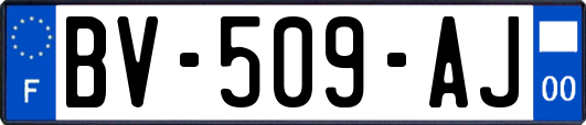 BV-509-AJ