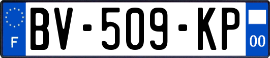 BV-509-KP