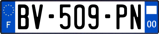 BV-509-PN