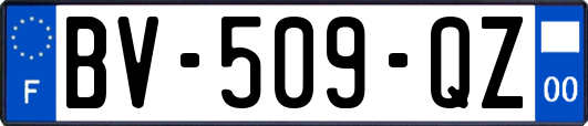 BV-509-QZ