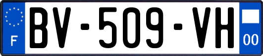 BV-509-VH