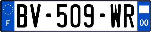 BV-509-WR