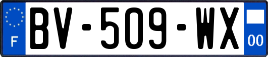 BV-509-WX