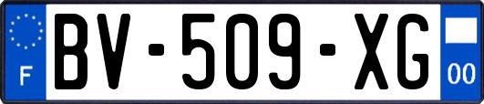 BV-509-XG