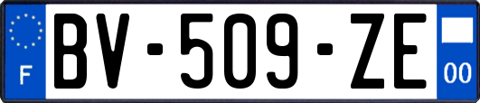 BV-509-ZE