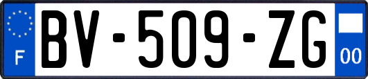 BV-509-ZG