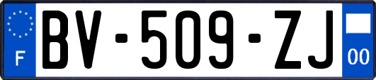 BV-509-ZJ