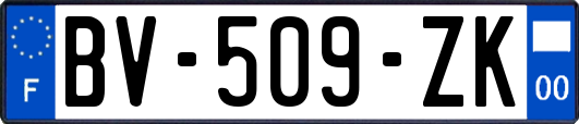 BV-509-ZK