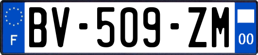 BV-509-ZM