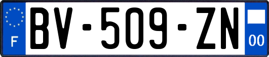 BV-509-ZN