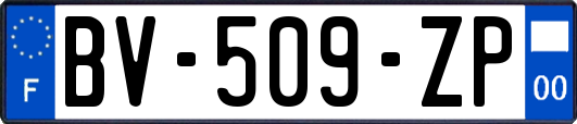 BV-509-ZP