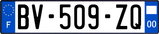 BV-509-ZQ