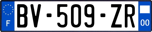 BV-509-ZR