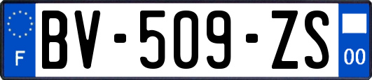 BV-509-ZS