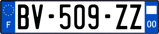 BV-509-ZZ